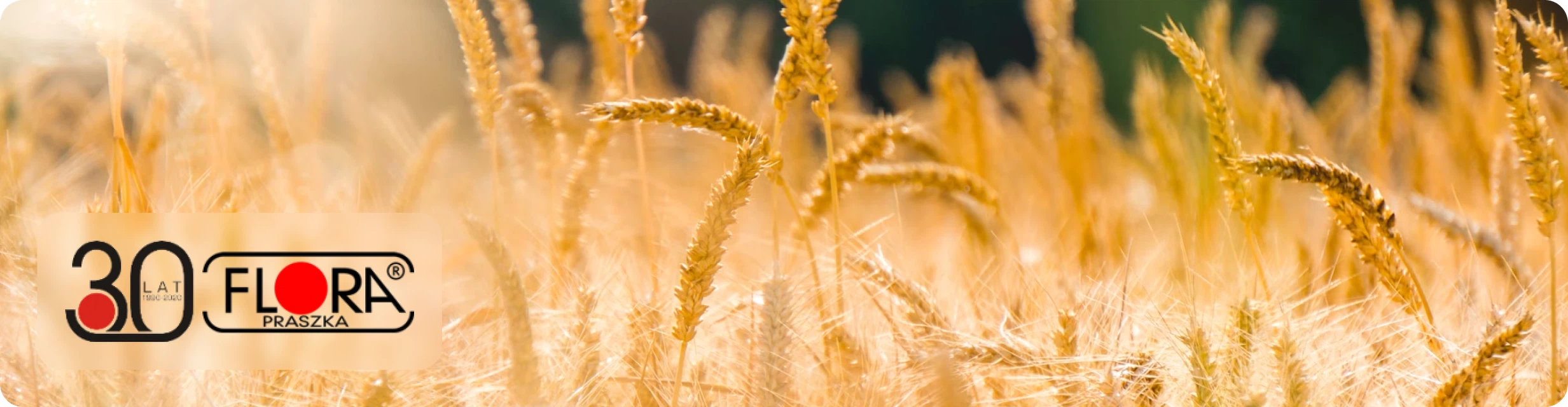 Zdjęcie nagłówka strony