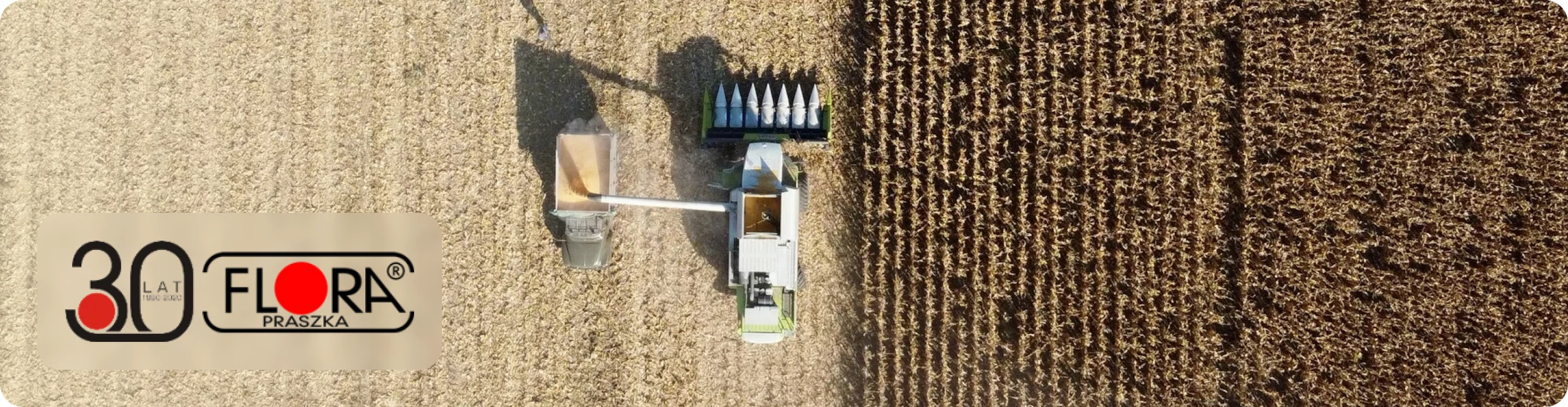 Zdjęcie nagłówka strony