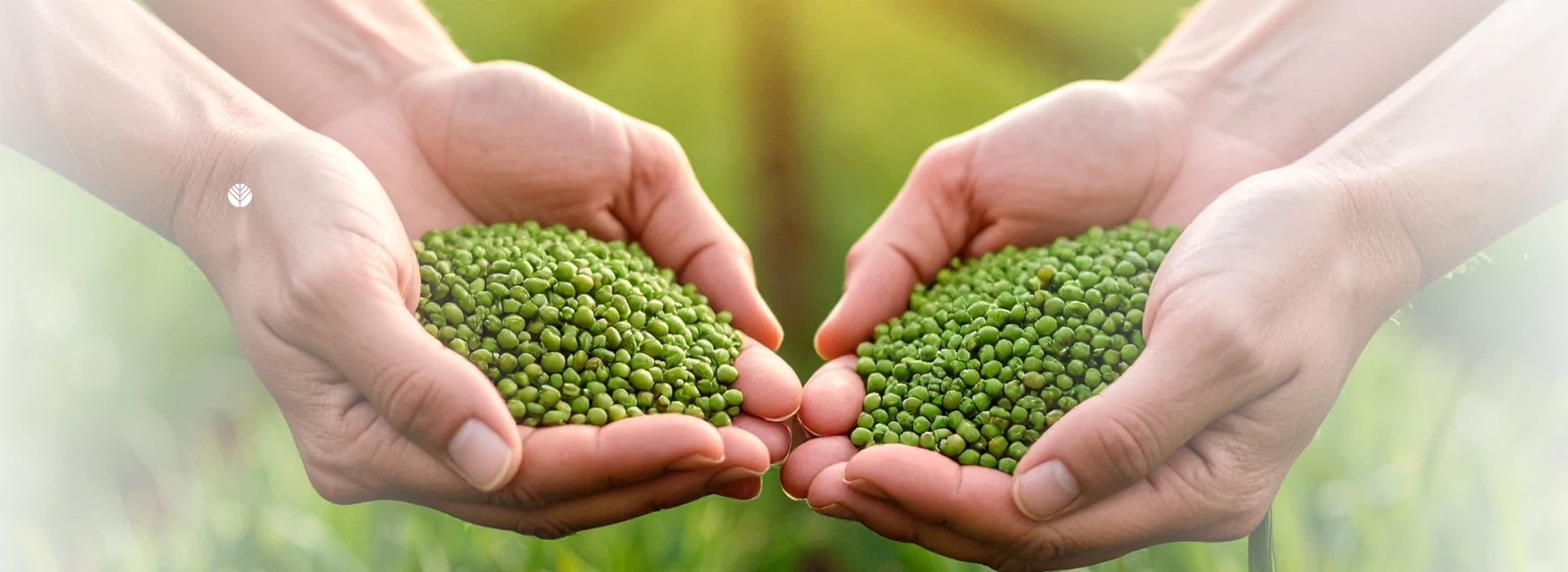 Zdjęcie nagłówka strony