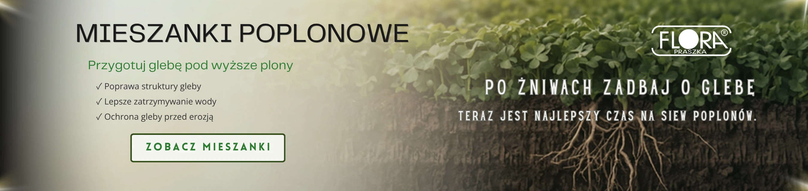 Baner informacyjny