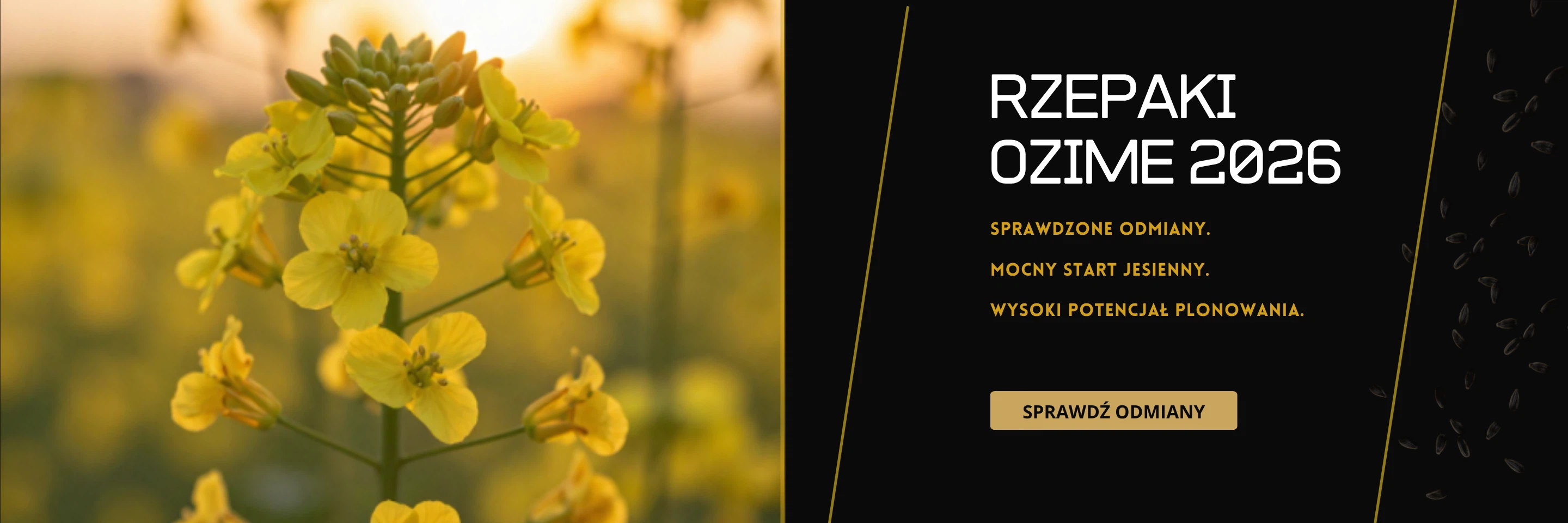 Baner promocyjny - 1