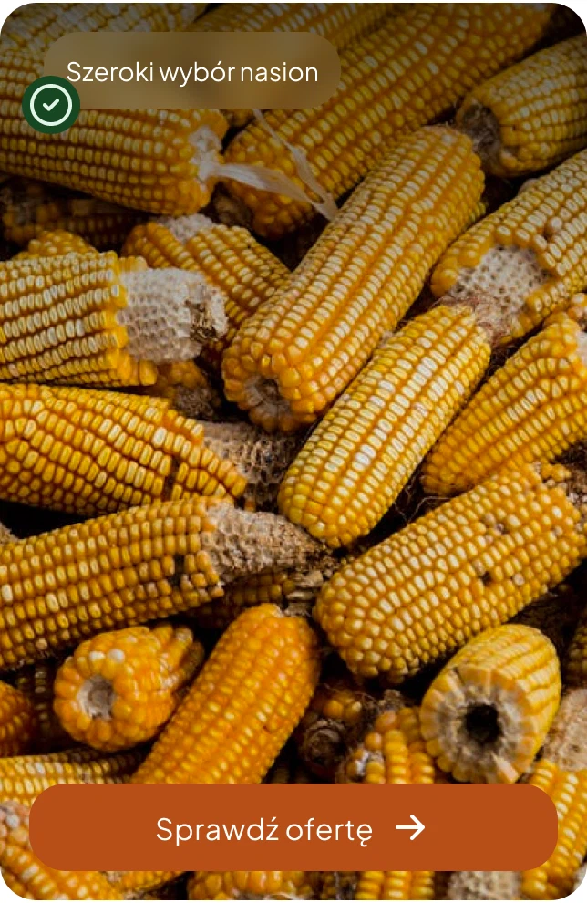 Baner w karuzeli produktów