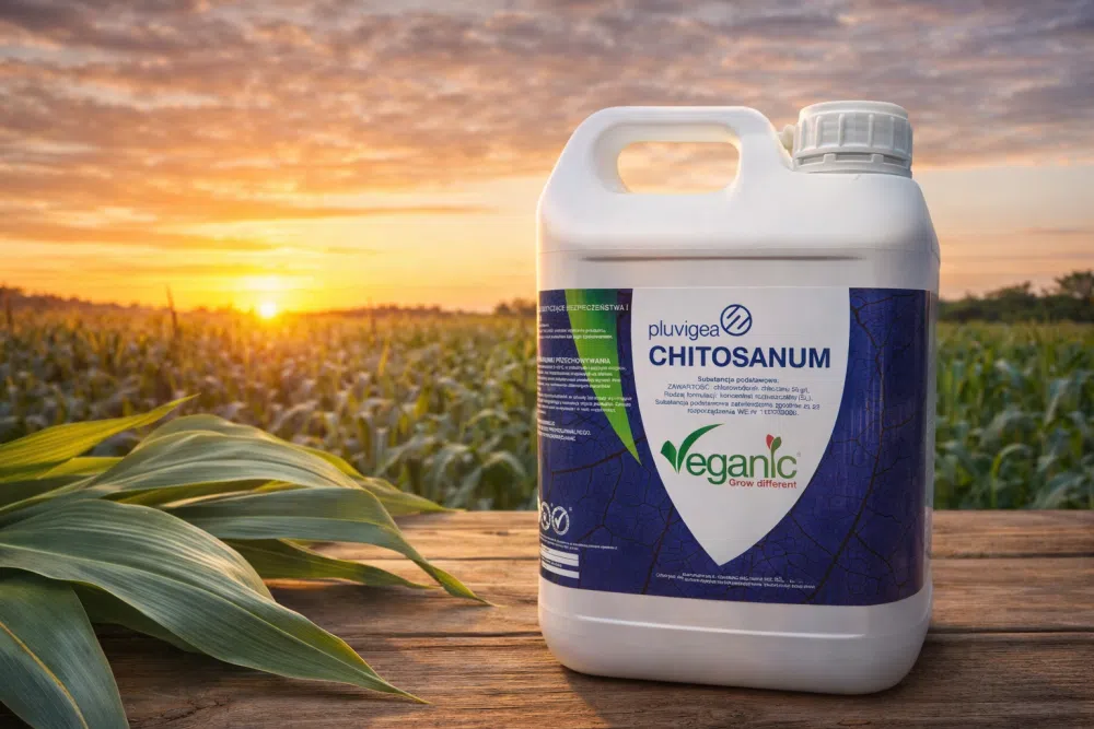 Chitosanum - elicytor odporności roślin